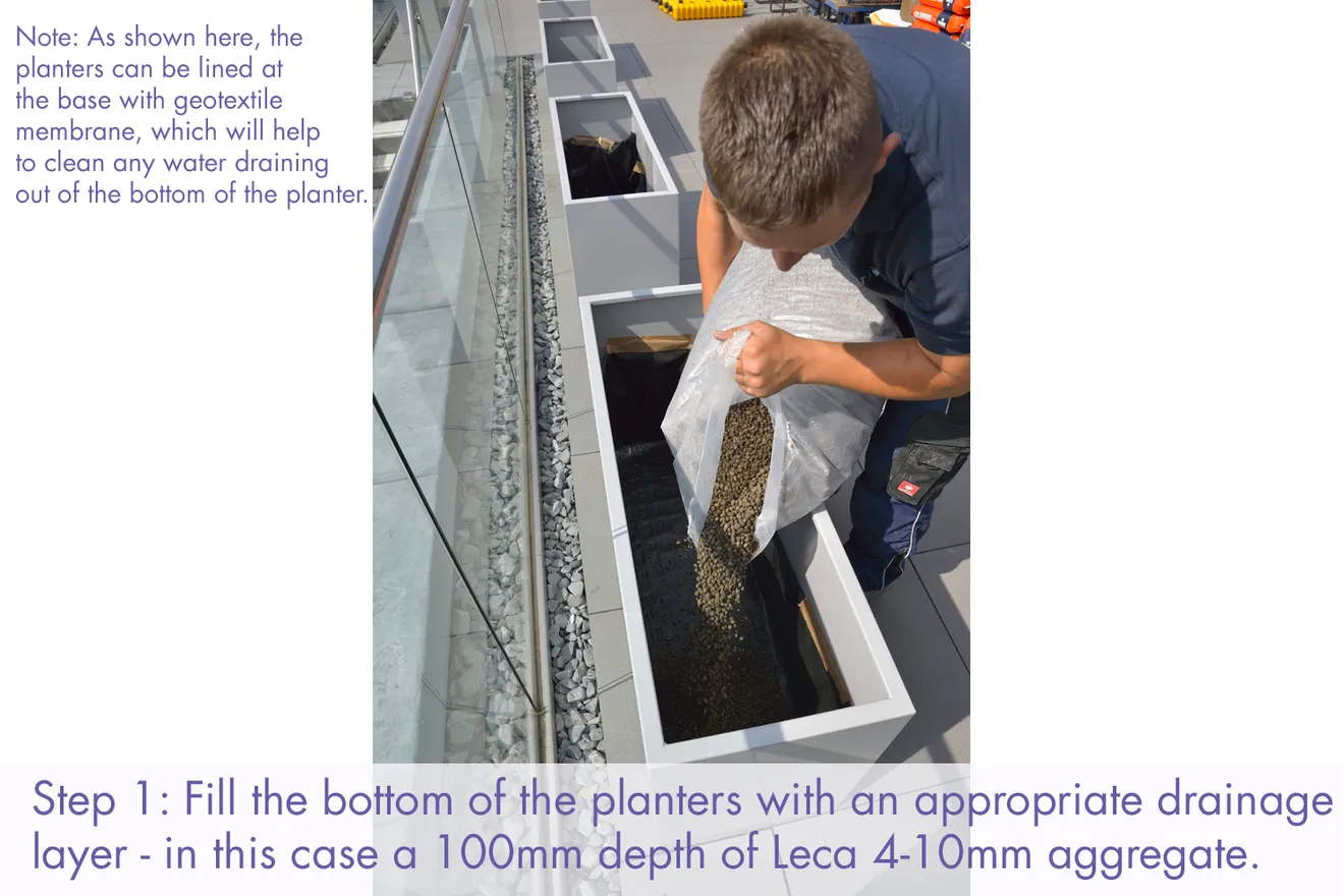 Container Mass Planting A guide to Commercial Container Planting – Process for Planting ...