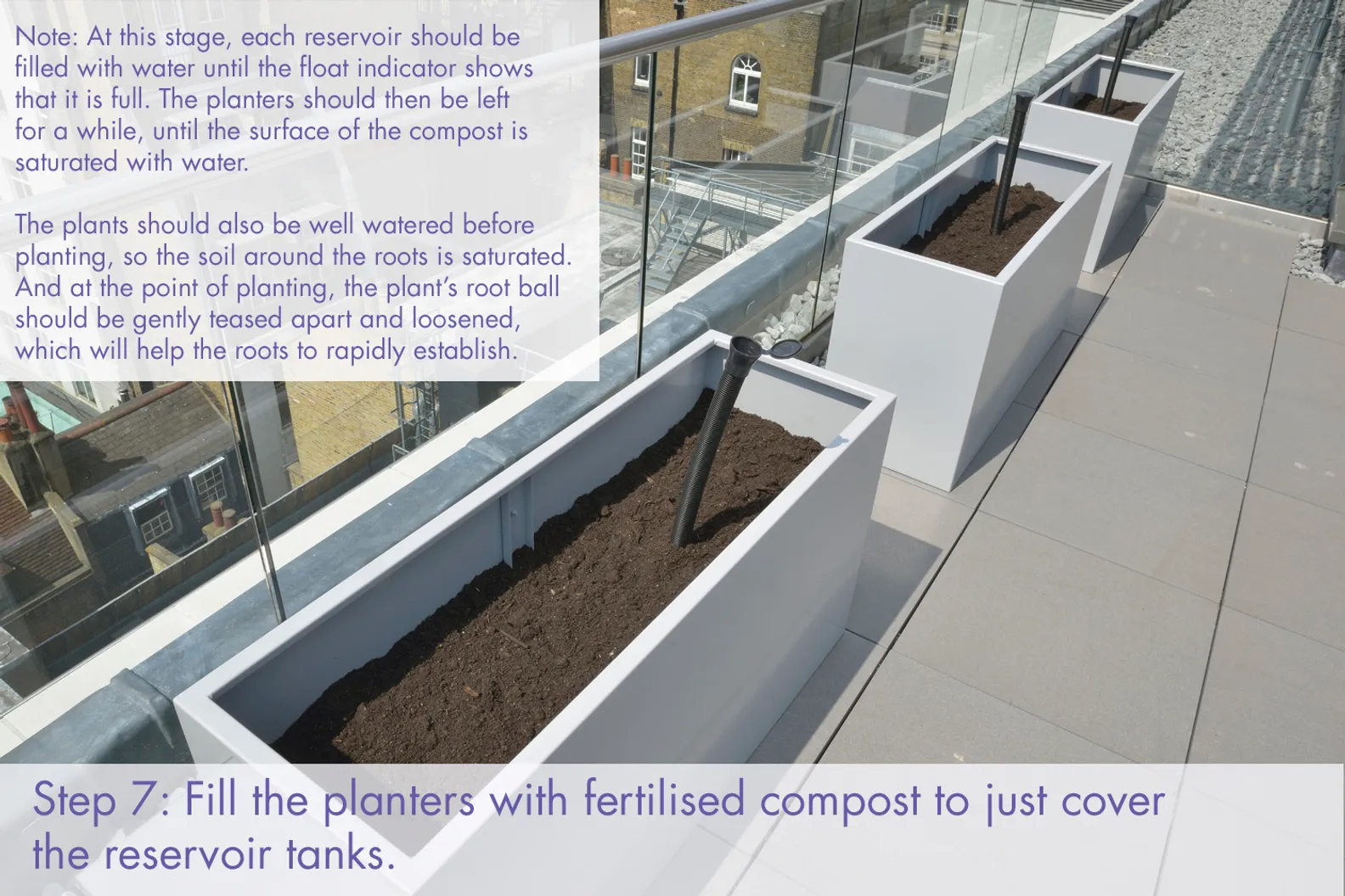 Container Mass Planting A guide to Commercial Container Planting – Process for Planting ...
