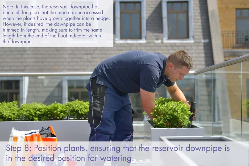 Container Mass Planting A guide to Commercial Container Planting – Process for Planting ...