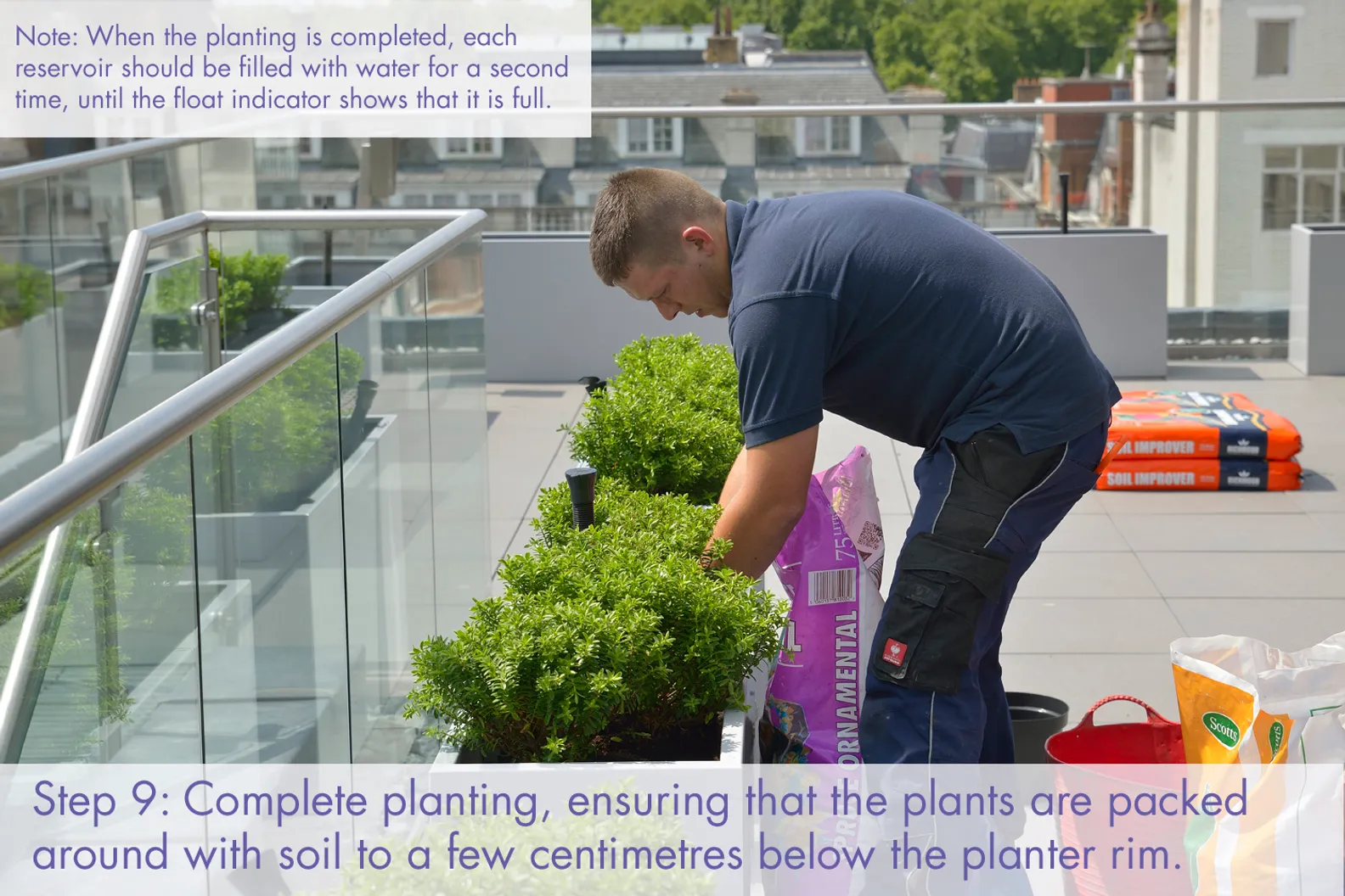 Container Mass Planting A guide to Commercial Container Planting – Process for Planting ...